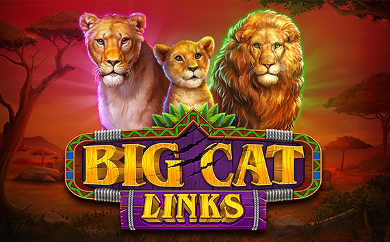 Browse some high payout slots