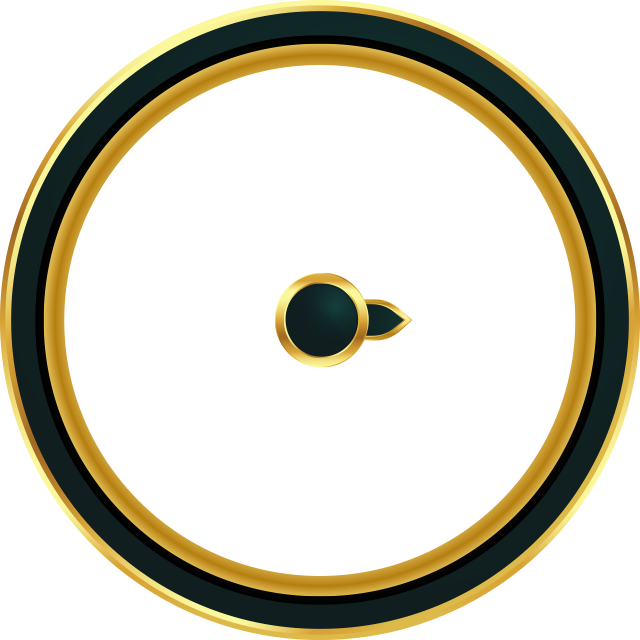 wheel spin